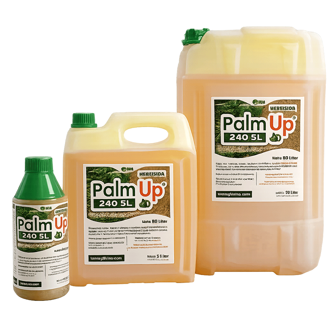 PALM UP