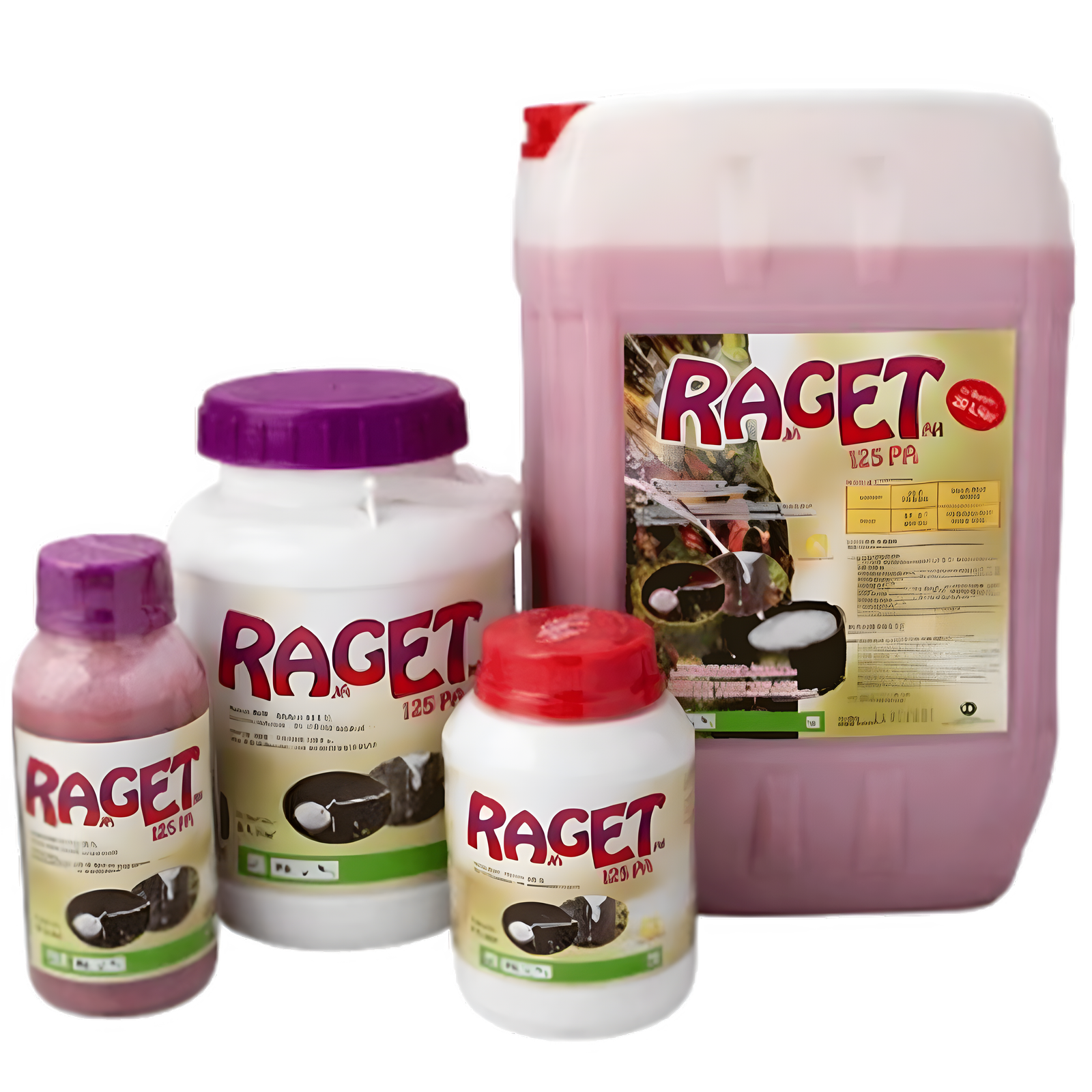 RAGET